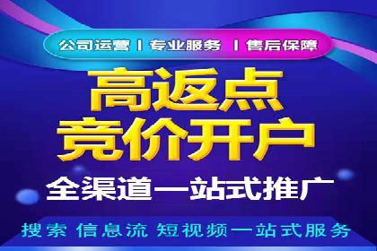 SEM推广实战：案例分析及优化路径